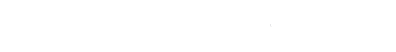 Picton-Forshore---The-Ferry-Run-Fortune-Icons
