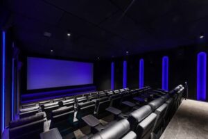 Silky Otter cinema in Richmond Nelson